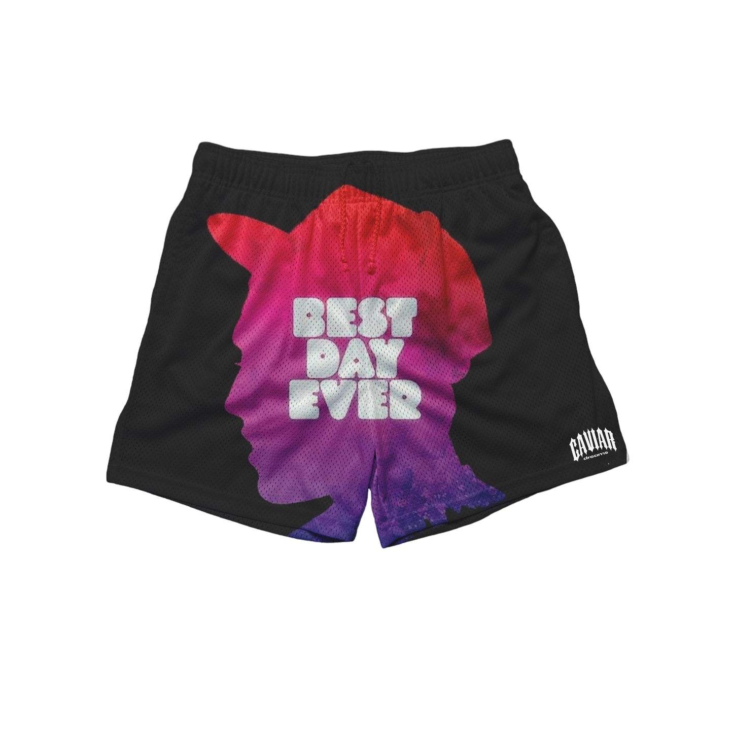 BEST DAY EVER SHORTS