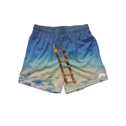 HIGHEST IN THE ROOM SHORTS